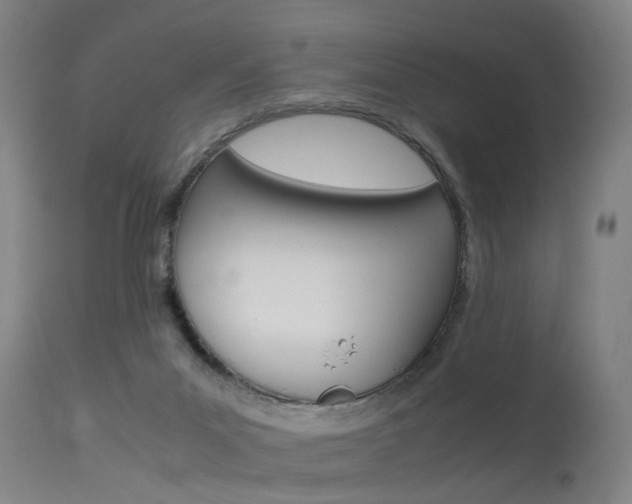 X0000115620023200911101106