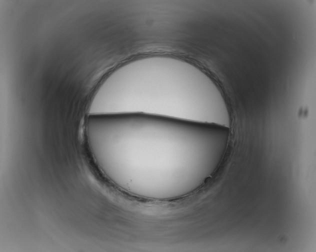 X0000115620024200911101106