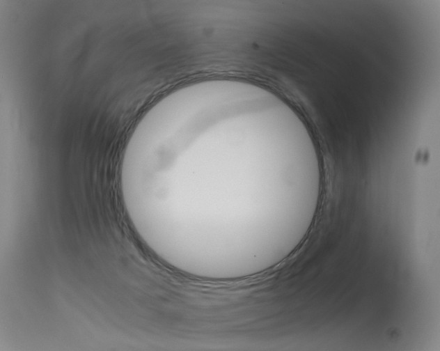 X0000115620025200911101106