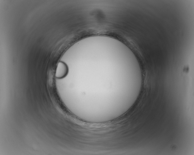 X0000115620026200911101106