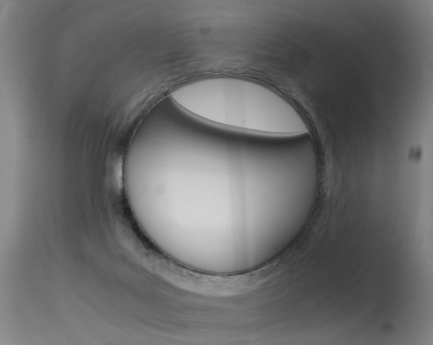 X0000115620027200911101106