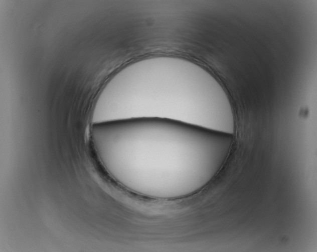 X0000115620028200911101106