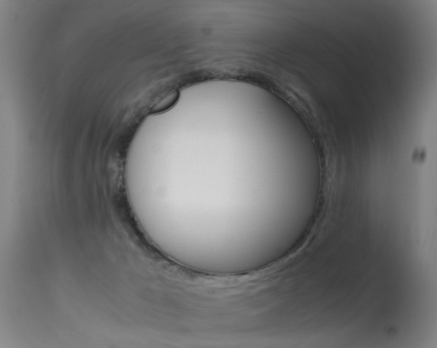 X0000115620029200911101106