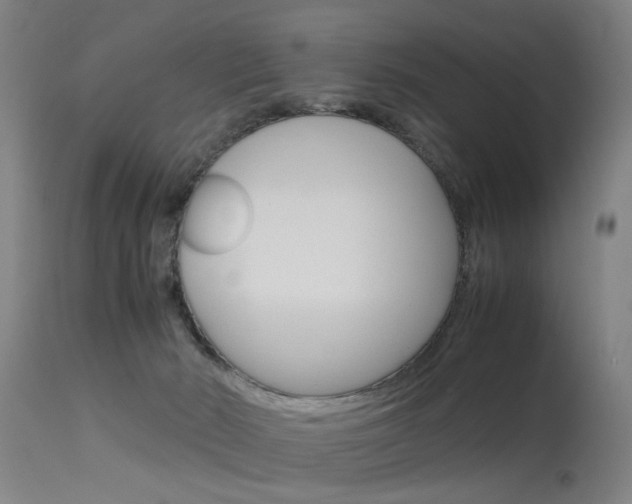 X0000115620030200911101106