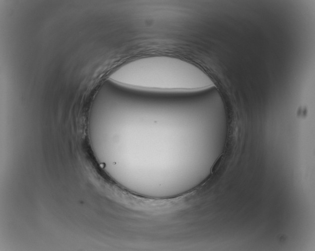 X0000115620031200911101106