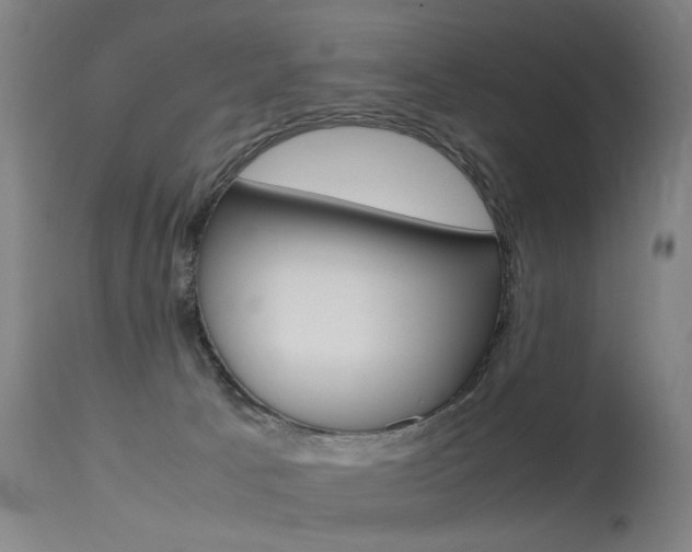 X0000115620033200911101106