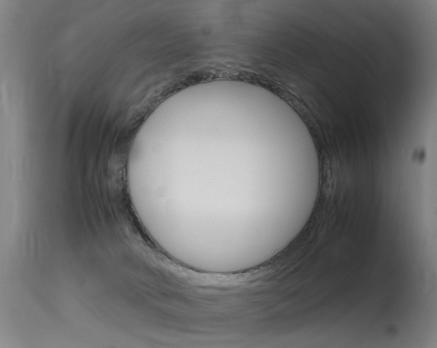 X0000115620034200911101106