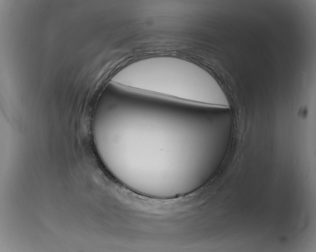 X0000115620035200911101106