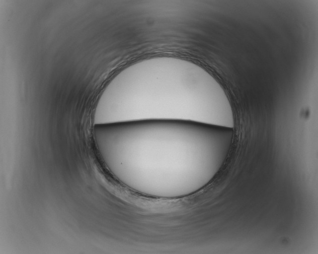 X0000115620036200911101106