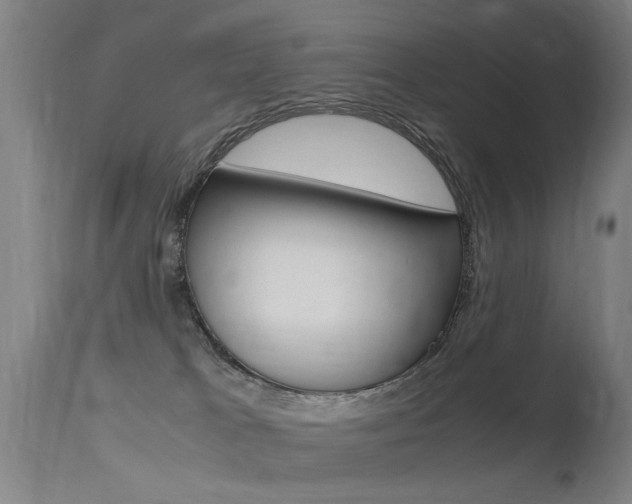 X0000115620037200911101106