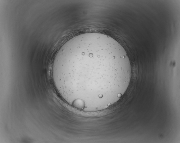 X0000115620038200911101106