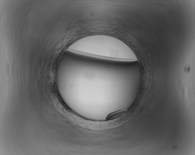 X0000115620039200911101106