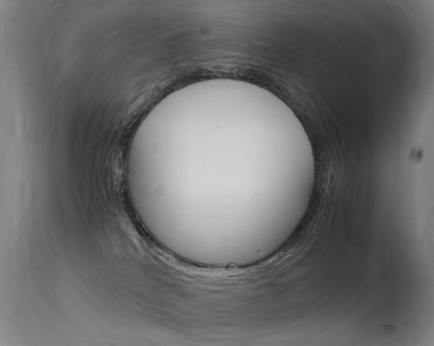 X0000115620040200911101106