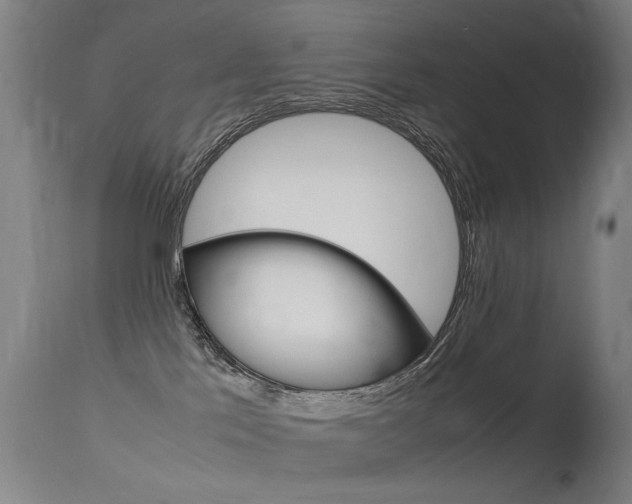 X0000115620041200911101106