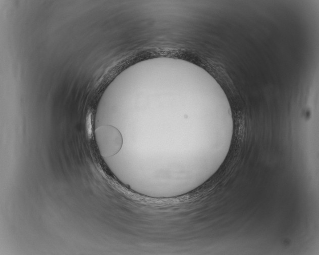 X0000115620042200911101106