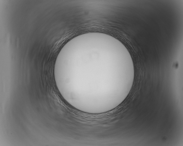 X0000115620043200911101106