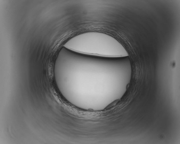 X0000115620044200911101106