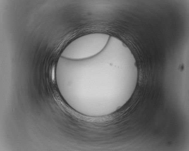 X0000115620046200911101106