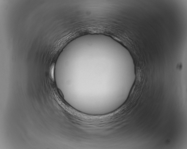 X0000115620047200911101106