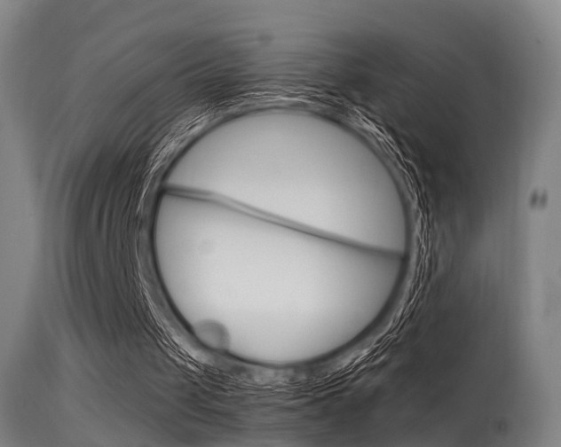 X0000115620049200911101105