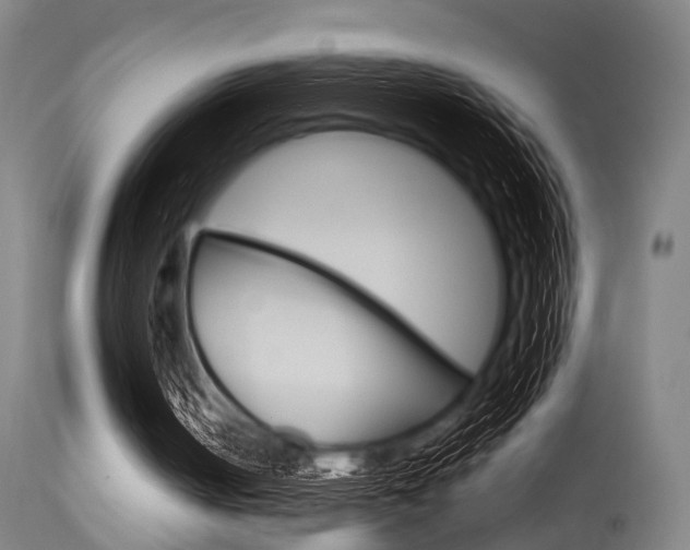 X0000115620050200911101105