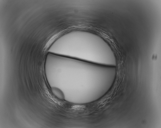 X0000115620051200911101105