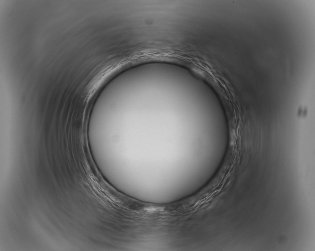 X0000115620052200911101105