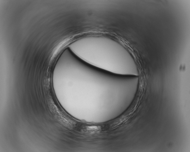 X0000115620053200911101105