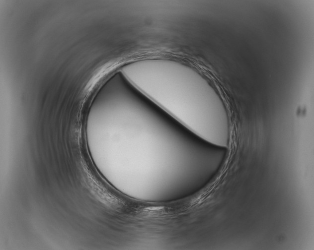 X0000115620054200911101105