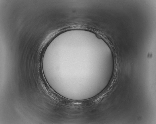 X0000115620055200911101105