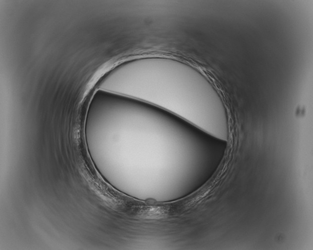 X0000115620056200911101105