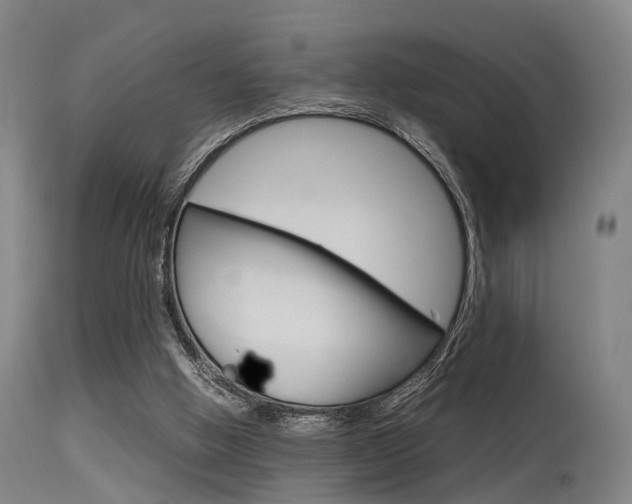 X0000115620058200911101105