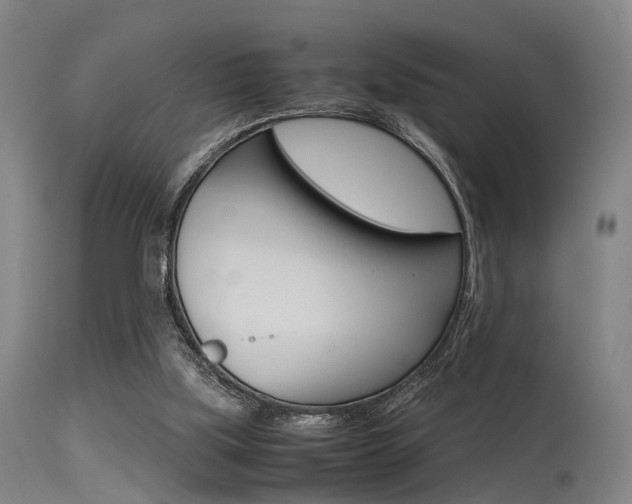 X0000115620059200911101105