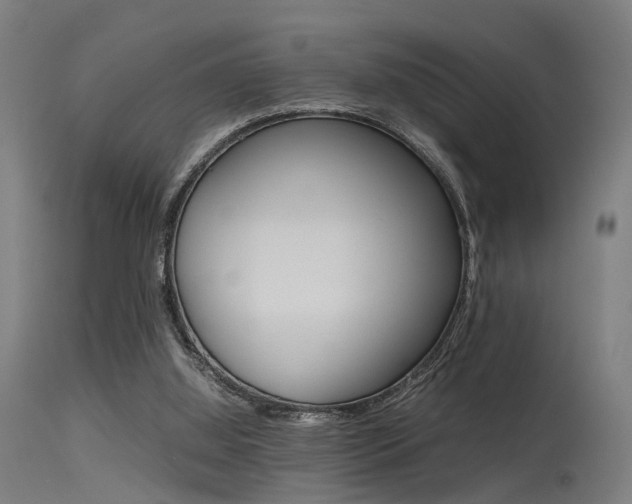 X0000115620060200911101105