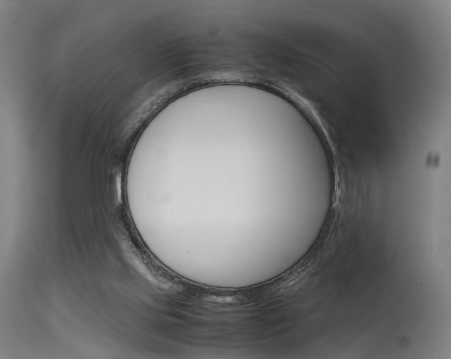 X0000115620061200911101105