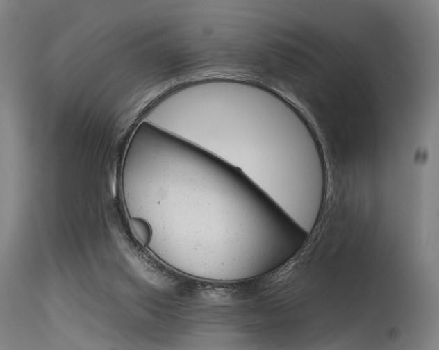 X0000115620062200911101105