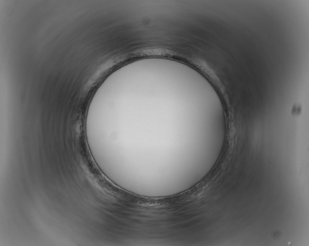 X0000115620063200911101105