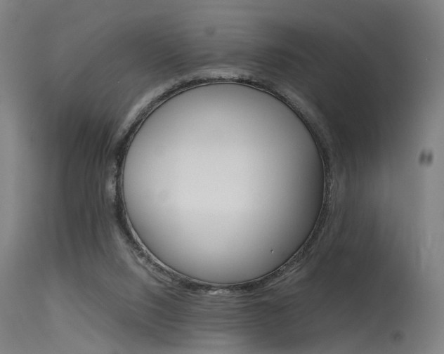 X0000115620064200911101106