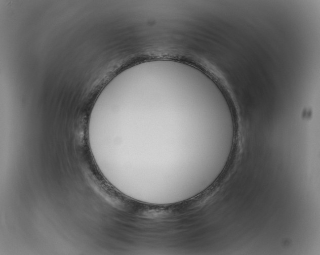 X0000115620065200911101106