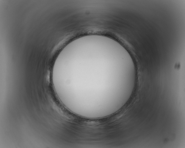 X0000115620067200911101106