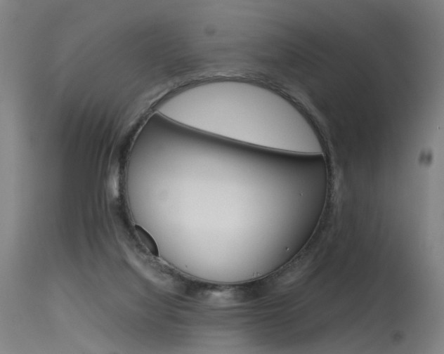 X0000115620068200911101106