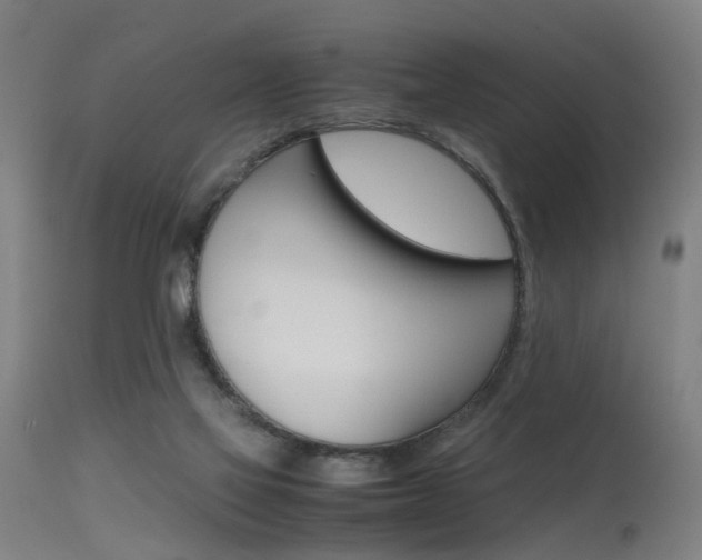 X0000115620069200911101106