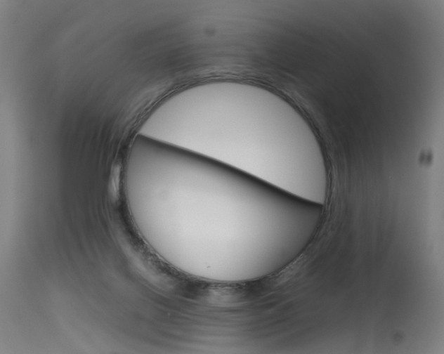 X0000115620070200911101106