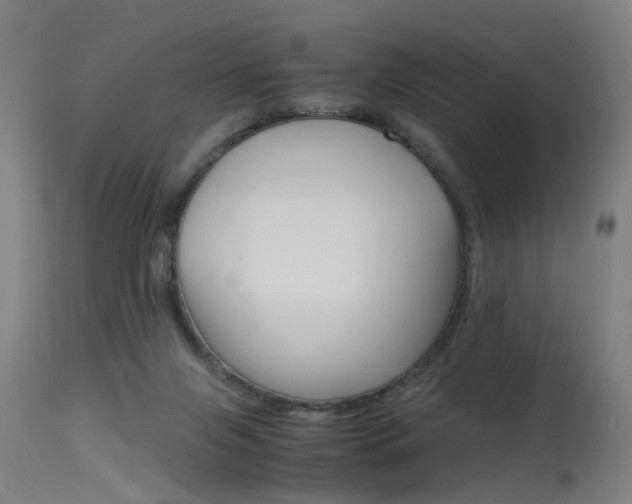 X0000115620071200911101106