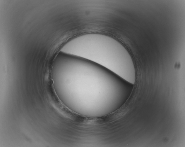 X0000115620072200911101106