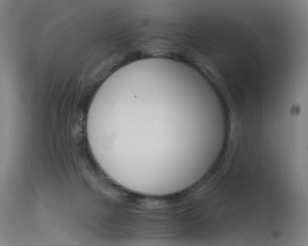 X0000115620073200911101106