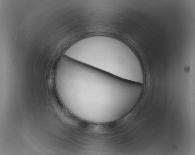 X0000115620074200911101106