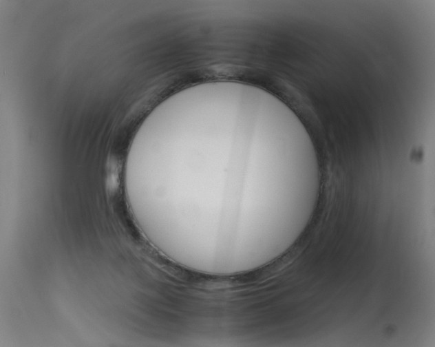 X0000115620075200911101106