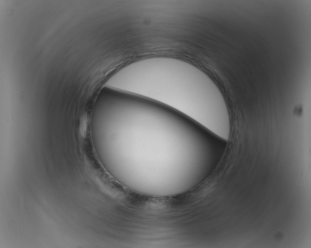 X0000115620076200911101106