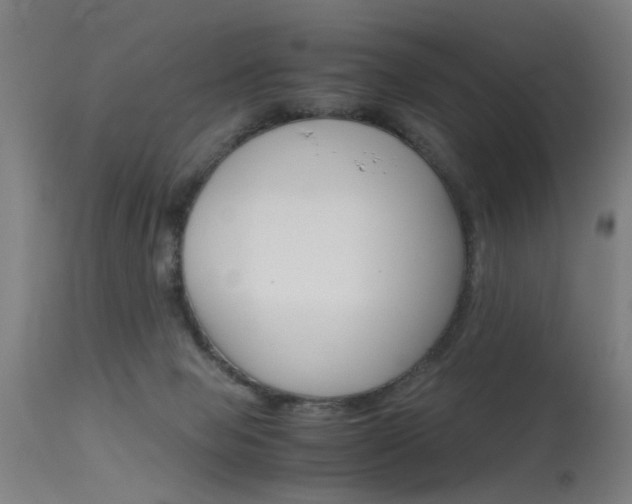 X0000115620077200911101106